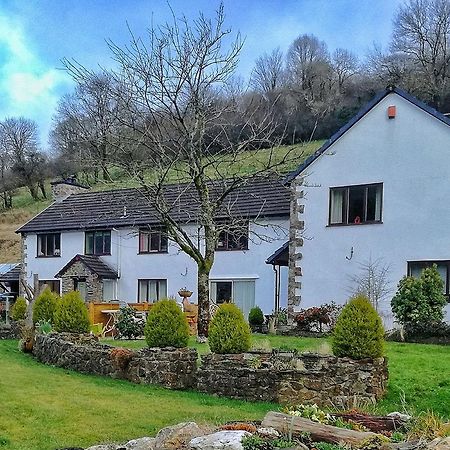 Neuadd Wen Guest House 카마던 외부 사진