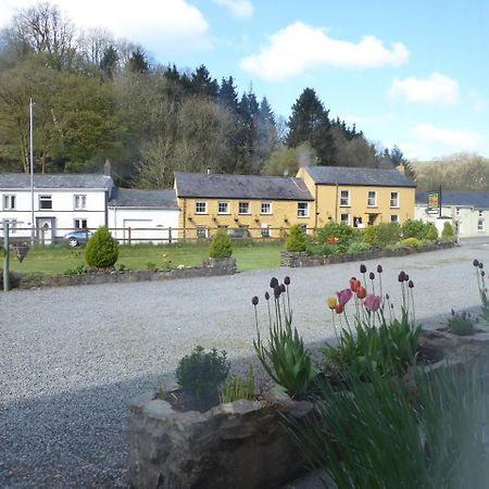 Neuadd Wen Guest House 카마던 외부 사진
