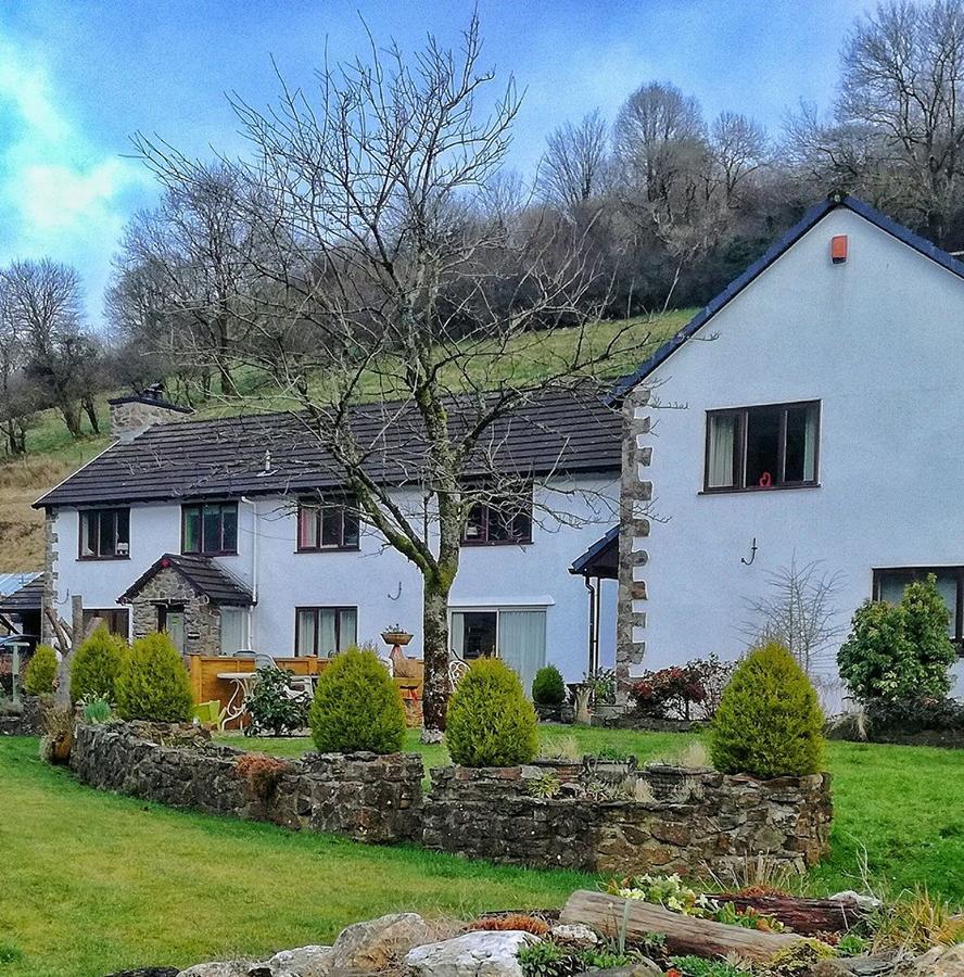 Neuadd Wen Guest House 카마던 외부 사진