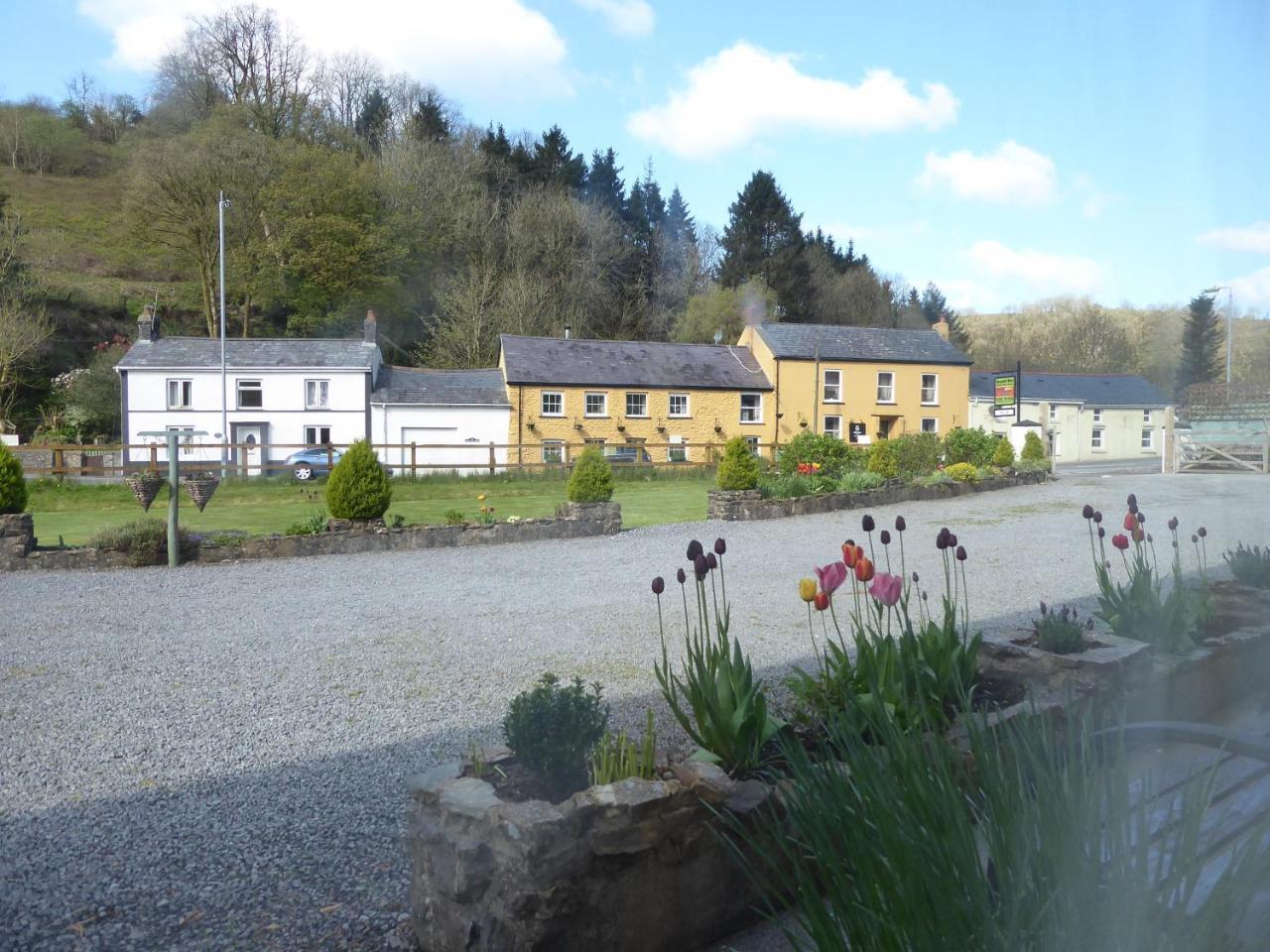 Neuadd Wen Guest House 카마던 외부 사진