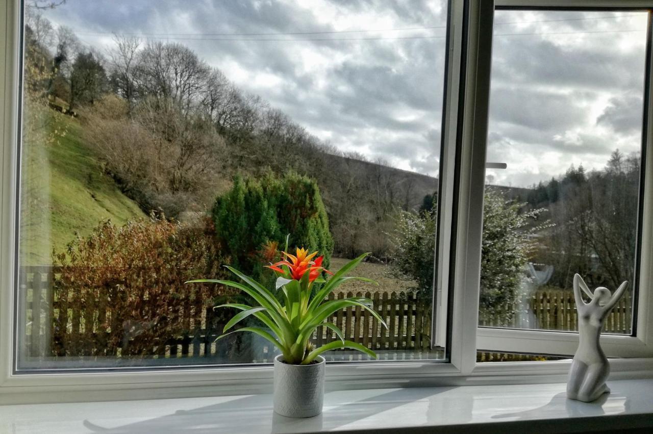 Neuadd Wen Guest House 카마던 외부 사진